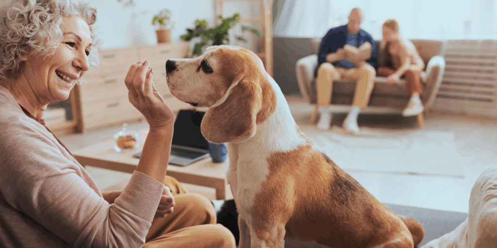 Das Bild zeigt eine liebevolle Betreuungskraft, die einer Seniorin beim Lesen oder im Alltag zur Seite steht – ein Symbol für Vertrauen, Nähe und professionelle Begleitung. Die Donau Seniorenhilfe bietet in Ulm, Neu-Ulm und Umgebung eine umfassende 24-Stunden-Betreuung, die individuell auf die Bedürfnisse der betreuten Person abgestimmt ist. Ob Hilfe bei der Körperpflege, Unterstützung beim Ankleiden, Zubereitung von Mahlzeiten, Begleitung im Alltag oder einfach ein Gespräch – unsere Betreuungskräfte sind rund um die Uhr da. Sie leben mit im Haushalt, schenken Sicherheit und fördern das Wohlbefinden. Für Familien in der Region ist die Donau Seniorenhilfe eine menschliche, verlässliche und legale Alternative zum Pflegeheim. Mit Herz, Erfahrung und staatlicher Förderung ermöglichen wir älteren Menschen ein würdevolles Leben im eigenen Zuhause. Keywords: Betreuung zu Hause Ulm, 24h Betreuung Neu-Ulm, Seniorenhilfe mit Herz, Donau Seniorenhilfe, Detlef Buschina, häusliche Pflegekraft, liebevolle Betreuung, Pflege statt Heim, Alternative Pflegeheim Ulm, Pflegekraft im Haus.